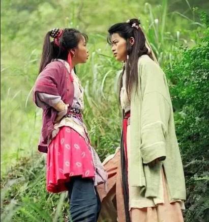 天龙八部原著：阿朱与阿紫，谁更美？