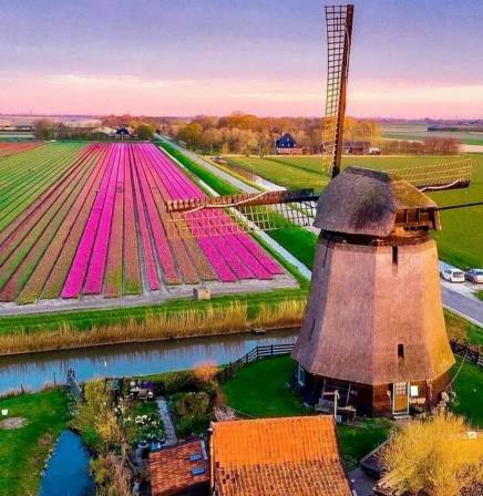 荷兰：低地之上绽放的“水与花”传奇