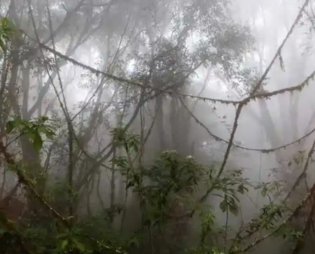 崔造贬谪考辨：岭南流放传闻的真相与历史语境