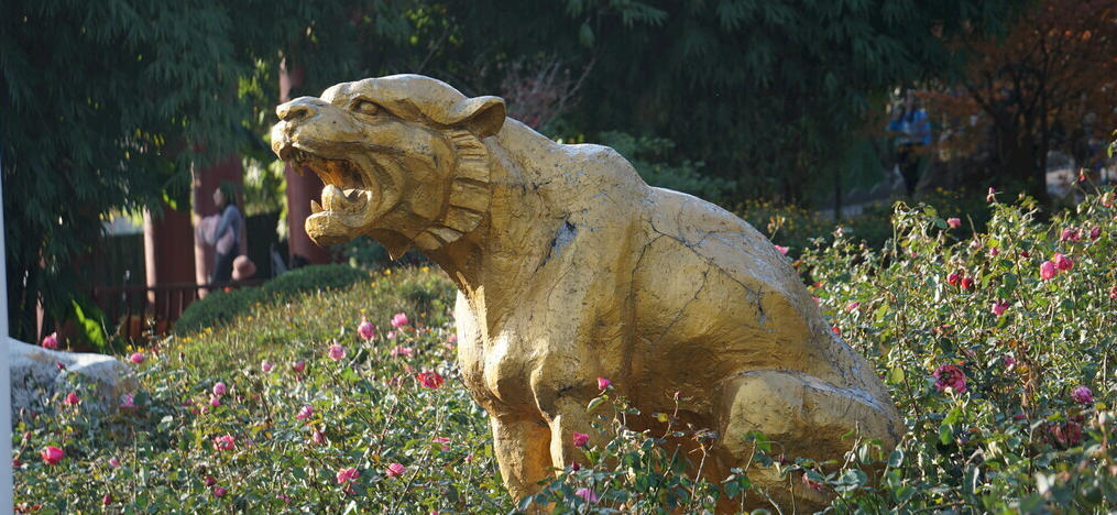 知渠教我归何处，飞起玉龙三百万指打个最佳精准词语解谜  解释哪一个成语落实释义