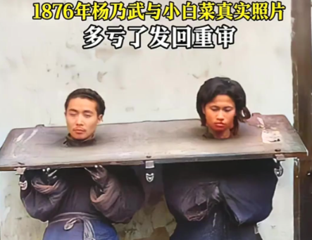 晚清司法黑暗的缩影：杨乃武与小白菜冤案真相