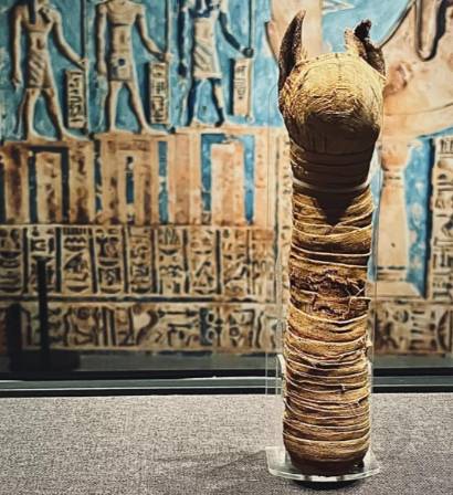 千年不腐之谜：古埃及木乃伊制作全解析