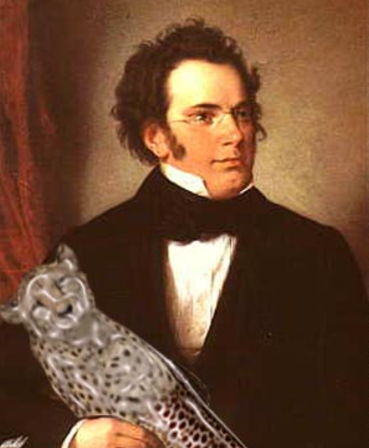 舒伯特染上梅毒：时代悲剧下的天才陨落