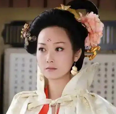 皇室姻亲：同安公主与王皇后的家族纽带